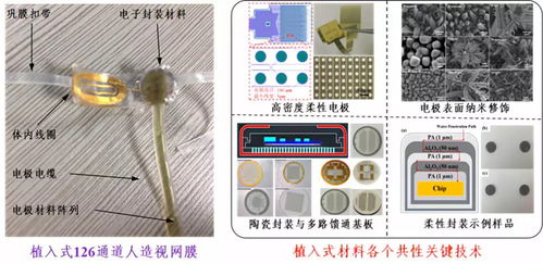 深圳先進院攜多個黑科技產品閃耀CIOE2018，推動光電技術交流與創新